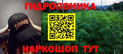 кокс Дубна