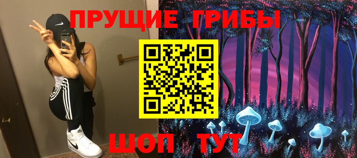 Галлюциногенные грибы Psilocybe  Вход с VPN  Гусиноозёрск 